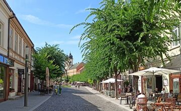 FOTO: Obyvateľov Trenčína hnevá vysoká tráva v katastri mesta