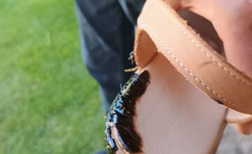 FOTO: Trenčanka stúpila do roztečenej smoly na chodníku počas prechádzky v Trenčíne