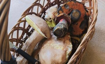 FOTO: Hubári v Trenčianskom kraji sa tešia z úlovkov