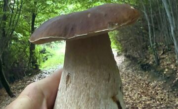 FOTO: Hubári v Trenčianskom kraji sa tešia z úlovkov