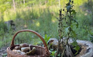 FOTO: Hubári v Trenčianskom kraji sa tešia z úlovkov