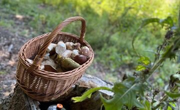 FOTO: Hubári v Trenčianskom kraji sa tešia z úlovkov