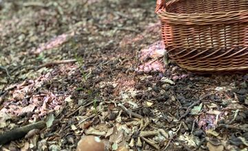 FOTO: Hubári v Trenčianskom kraji sa tešia z úlovkov