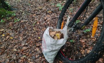 FOTO: Hubári v Trenčianskom kraji sa tešia z úlovkov