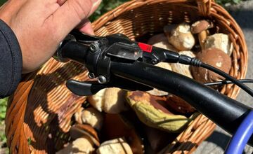 FOTO: Hubári v Trenčianskom kraji sa tešia z úlovkov