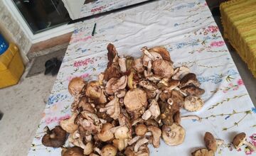 FOTO: Hubári v Trenčianskom kraji sa tešia z úlovkov