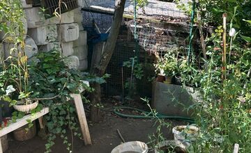 FOTO: Desiatky psov žili v špine a hlade. Enviropolicajti zasahovali pri Prievidzi