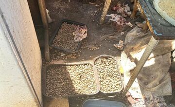 FOTO: Desiatky psov žili v špine a hlade. Enviropolicajti zasahovali pri Prievidzi