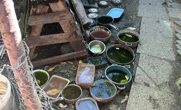 FOTO: Desiatky psov žili v špine a hlade. Enviropolicajti zasahovali pri Prievidzi