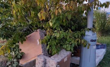 FOTO: V Novom Meste nad Váhom sa niektoré ulice menia na smetisko 