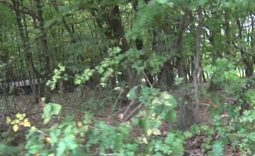 FOTO: Muž pri Trenčíne ohrozoval v lese poľovníkov aj políciu 