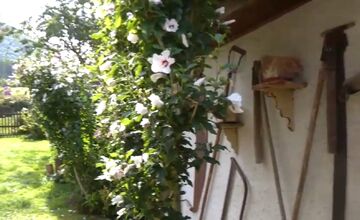 FOTO: Dom na Považí ukýva vzácne poklady 