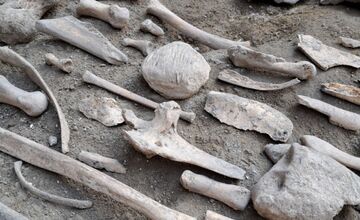 FOTO: Šokujúci archeologický objav na Trenčianskom hrade, pri výkopoch našli ľudské pozostatky z doby železnej