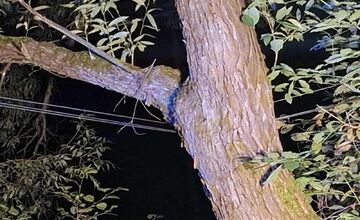 FOTO: Mimoriadna situácia v Chvojnici: Na strom spadlo elektrické vedenie, spôsobilo skrat a iskrenie