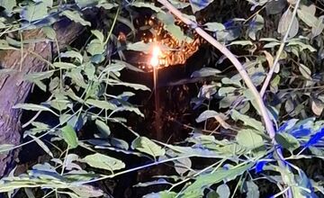 FOTO: Mimoriadna situácia v Chvojnici: Na strom spadlo elektrické vedenie, spôsobilo skrat a iskrenie