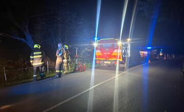 FOTO: Mimoriadna situácia v Chvojnici: Na strom spadlo elektrické vedenie, spôsobilo skrat a iskrenie