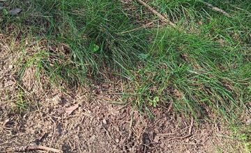 FOTO: Nekŕmte zvieratá v ZOO, môže ich to stáť život, odkazujú ošetrovatelia