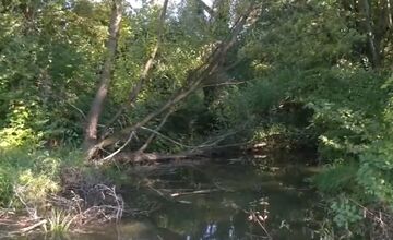 FOTO: Stavba nového parku v Trenčíne nesmie ohroziť prírodný luh popri Váhu 