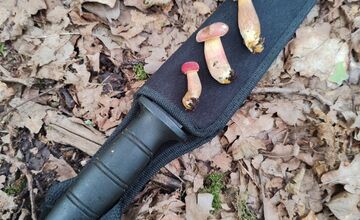 FOTO: Hubárska diagnóza zasiahla východ. Dubáky, smiech aj plné košíky