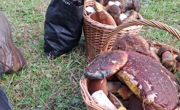 FOTO: Hubárska diagnóza zasiahla východ. Dubáky, smiech aj plné košíky