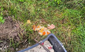 FOTO: Regionálna veterinárna správa zasahovala v Nitrianskom Pravne, kôň bol bez vody aj pohybu