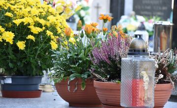 FOTO: Mesto Trenčín vyzýva obyvateľov na používanie prírodných materiálov počas dušičiek 