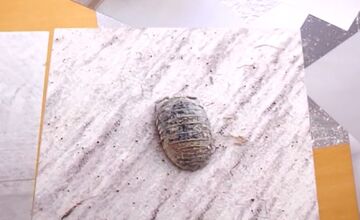 FOTO: Rodina z považskej Bystrice kúpila dom plný skrytých závad 