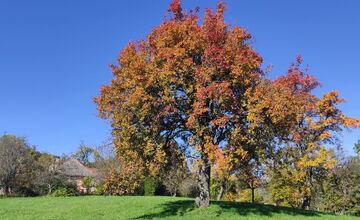 FOTO: Bratia Struhárovci menia Bošácku dolinu na raj pre turistov, vyznačili a držiavajú desiatky kilometrov trás