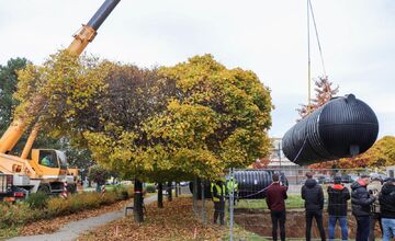 FOTO: Zelenšia Dubnica: mesto začne hospodáriť s dažďovou vodou a zapojí AI