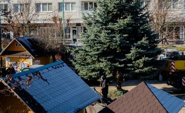 FOTO: Na myjavskom námestí začali osádzať vianočné stromčeky, advent odštartuje Mikuláš