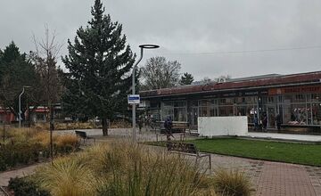 FOTO: Mierové námestie v Trenčíne už má nový 14-metrový vianočný strom, pribudol aj pri Rozkvete