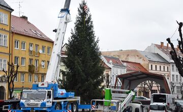 FOTO: Mierové námestie v Trenčíne už má nový 14-metrový vianočný strom, pribudol aj pri Rozkvete