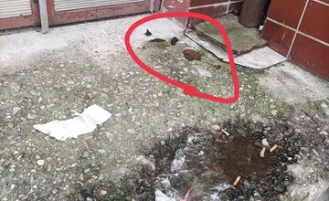 FOTO: Trenčania kritizujú stav železničnej stanice a jej okolia.