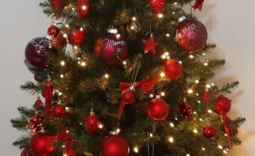 FOTO: Vianočné stromčeky Trenčanov