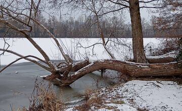 FOTO: Vzácny zimný úkaz v Trenčíne, Váh po dlhých rokoch opäť zamrzol