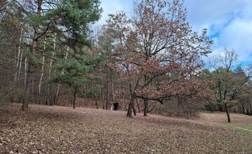 FOTO: Miestni nadšenci objavujú pozostatky Titanitky a Dynamitky