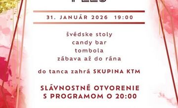 FOTO: Plesová sezóna v trenčianskom kraji je v plnom prúde 