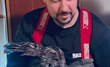 FOTO: Hasiči z Nitrianskeho Pravna zachránili sovu uviaznutú v komíne