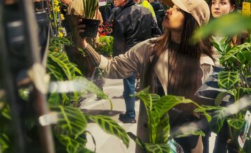 FOTO: Po veľkom úspechu sa do Trenčína vracia Festival rastlín