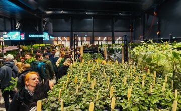 FOTO: Po veľkom úspechu sa do Trenčína vracia Festival rastlín