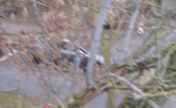 FOTO: V Prievidzi začali riešiť problém s invazívnou rastlinou 