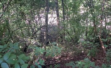 FOTO: V Hornom Srní sa zachovali protitankové zábrany z druhej svetovej vojny