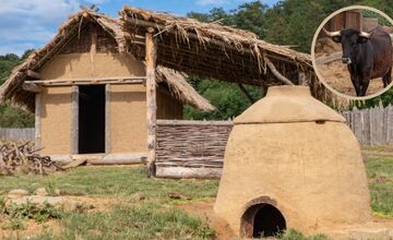 FOTO: V Bošácej otvoria nový archeopark