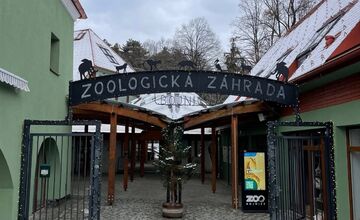 FOTO: Prievidzský obchodník milým gestom poďakoval za záchranu malých medvieďat