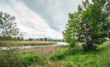 FOTO: Trenčiansky luh