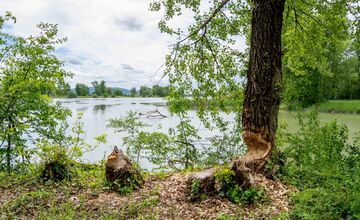 FOTO: Trenčiansky luh