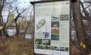 FOTO: Trenčiansky luh