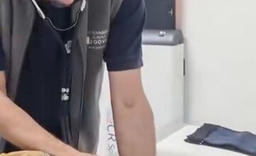 FOTO: Medvedie siroty z Hrboltovej absolvovali prvý röntgen. Veterinári si vydýchli