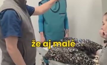 FOTO: Medvedie siroty z Hrboltovej absolvovali prvý röntgen. Veterinári si vydýchli