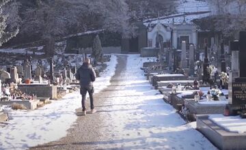 FOTO: Padnutý strom porušil náhrobný kameň na cintoríne v Trenčíne 